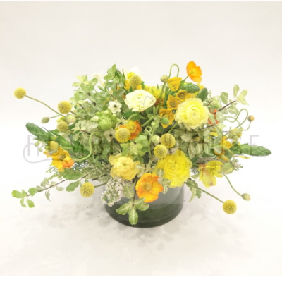 P0051盆花