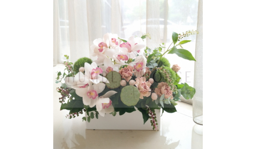 P0061盆花