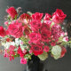 P0053盆花