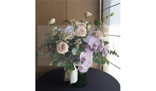 P0026盆花