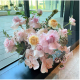 P0068盆花