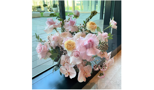 P0068盆花