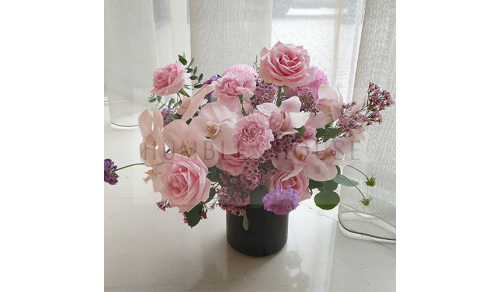 P0013盆花