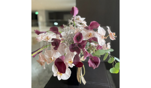 P0004盆花