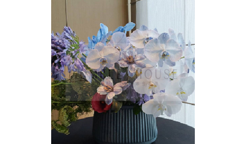 P0006盆花