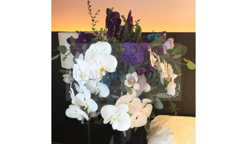 P0020盆花