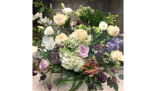 P0022盆花