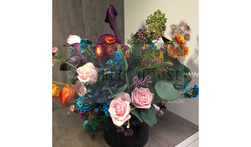 P0016盆花