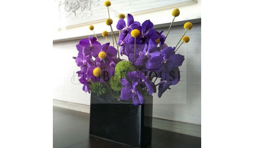 P0001盆花