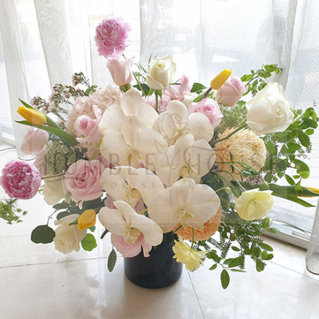 P0027盆花