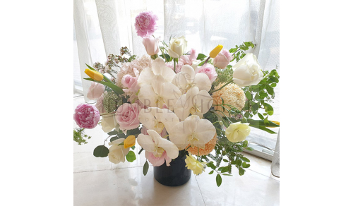 P0027盆花