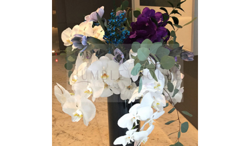 P0060盆花