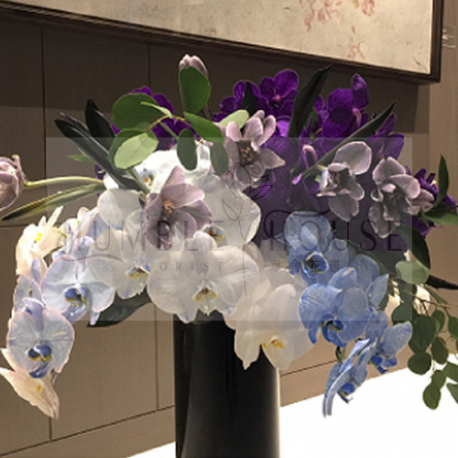 P0056盆花