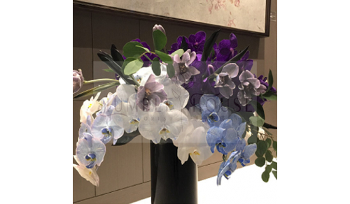 P0056盆花