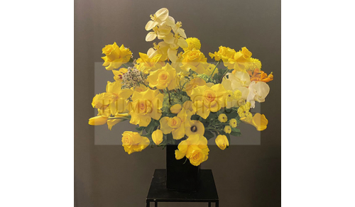 P0019盆花