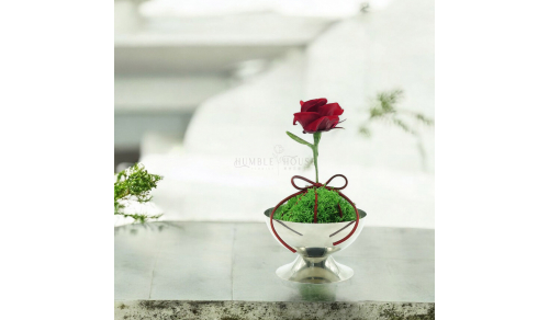 PF0020玫瑰星球小桌花
