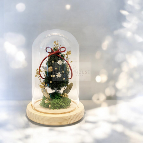Q0010 永生聖誕樹花盅